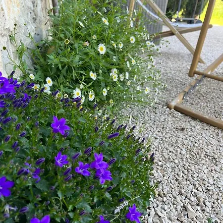 Maison De Charme Dans Domaine 17eme Holiday home